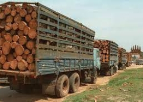 Bộ Công Thương gia hạn lệnh ngừng tạm nhập, tái xuất gỗ rừng tự nhiên từ Lào và Campuchia