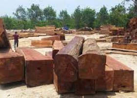 Đơn hàng đổ về doanh nghiệp gỗ đến quý I/2024